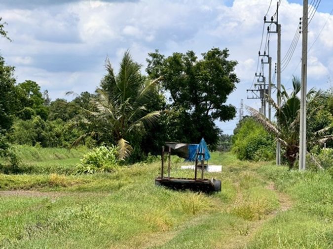Land for sale, 200 sq wah, Nong Chok