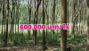 listing thumbnail image 10