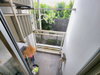 listing thumbnail image 51