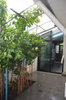 listing thumbnail image 16