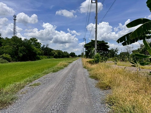 รูป ขายที่ดินเปล่าหนองจอก ถ.ประชาสำราญ (ซอยร่วมพัฒนา) **เพียง 4,500/ตารางวา** (N.1717) - รูปที่ 2/9