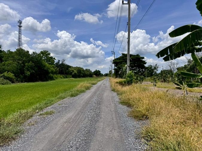 Land for sale, 200 sq wah, Nong Chok