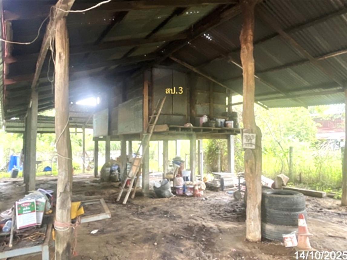 รูป บ้านเดี่ยว 356 ตร.วา พนมไพร ร้อยเอ็ด 2.5M - รูปที่ 13/20