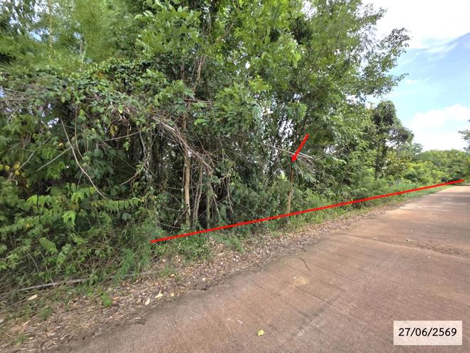 รูป ที่ดินว่างเปล่า 9865 ตร.วา สว่างแดนดิน สกลนคร 5.1M - รูปที่ 2/28