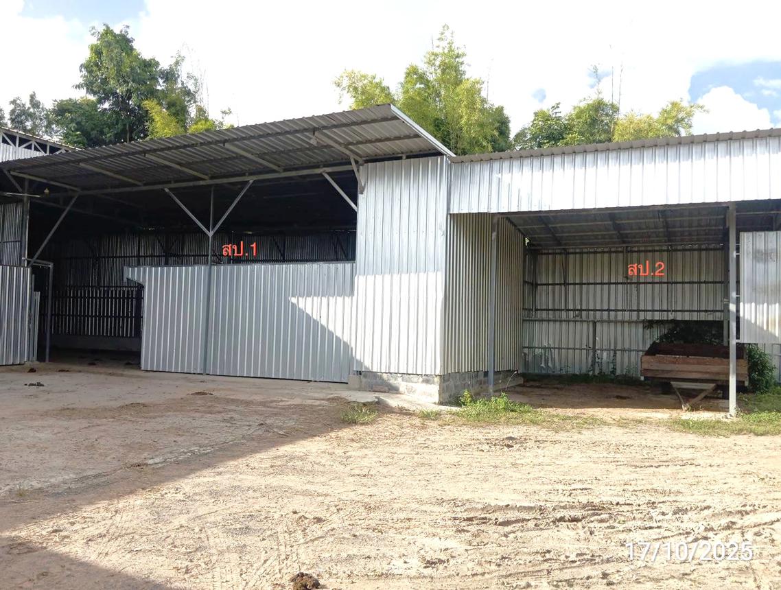 รูป โกดัง 315 ตร.วา ศีขรภูมิ สุรินทร์ 1.6M - รูปที่ 10/20