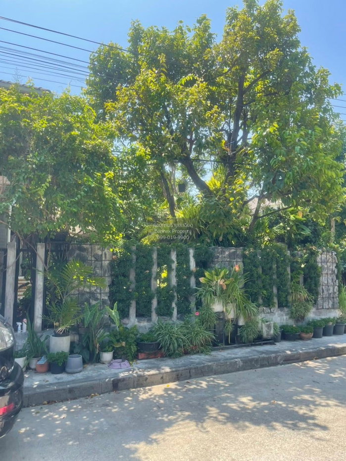 รูป ขายบ้าน  เดอะ แพลนท์ พัฒนาการ 38 ห้องมุม สวนหลวง เขต สวนหลวง กรุงเทพ CX-166954 ✅ ทักไลน์ @connexproperty ตอบทันที ทีมงานมืออาชีพ ✅ - รูปที่ 6/7