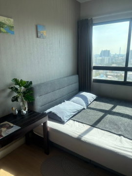 เช่าคอนโด The Seed Mingle/เดอะ ซี้ด มิงเกิล (D6908024) ID Line : @condo98