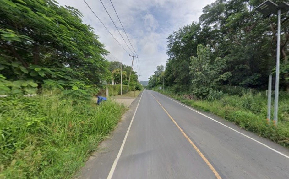 รูป ขายบ้านเดี่ยว พร้อมสวนผลไม้ มวกเหล็ก สระบุรี (ห่างมิตรภาพ 800 เมตร) (N.2262) - รูปที่ 5/8