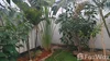 listing thumbnail image 47