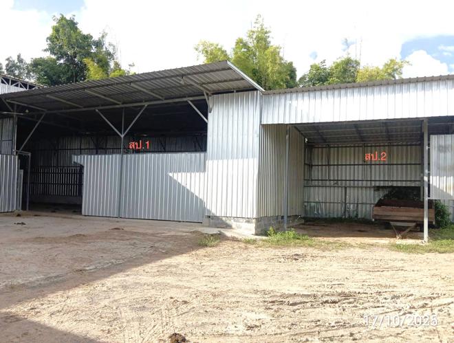 รูป โกดัง 315 ตร.วา ศีขรภูมิ สุรินทร์ 1.6M - รูปที่ 2/20