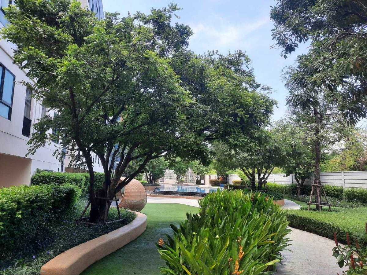 picture Condo For Rent UNIO Rama2-Thakham Building A - 7/10