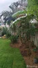 listing thumbnail image 55