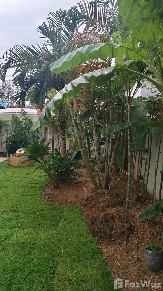 picture 5 Bedroom Villa for sale in Maret, Surat Thani 6657240 - 56/56