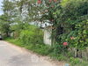 listing thumbnail image 16