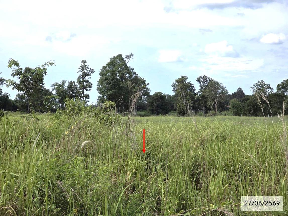 รูป ที่ดินว่างเปล่า 9865 ตร.วา สว่างแดนดิน สกลนคร 5.1M - รูปที่ 21/28