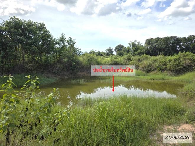 รูป ที่ดินว่างเปล่า 9865 ตร.วา สว่างแดนดิน สกลนคร 5.1M - รูปที่ 12/28