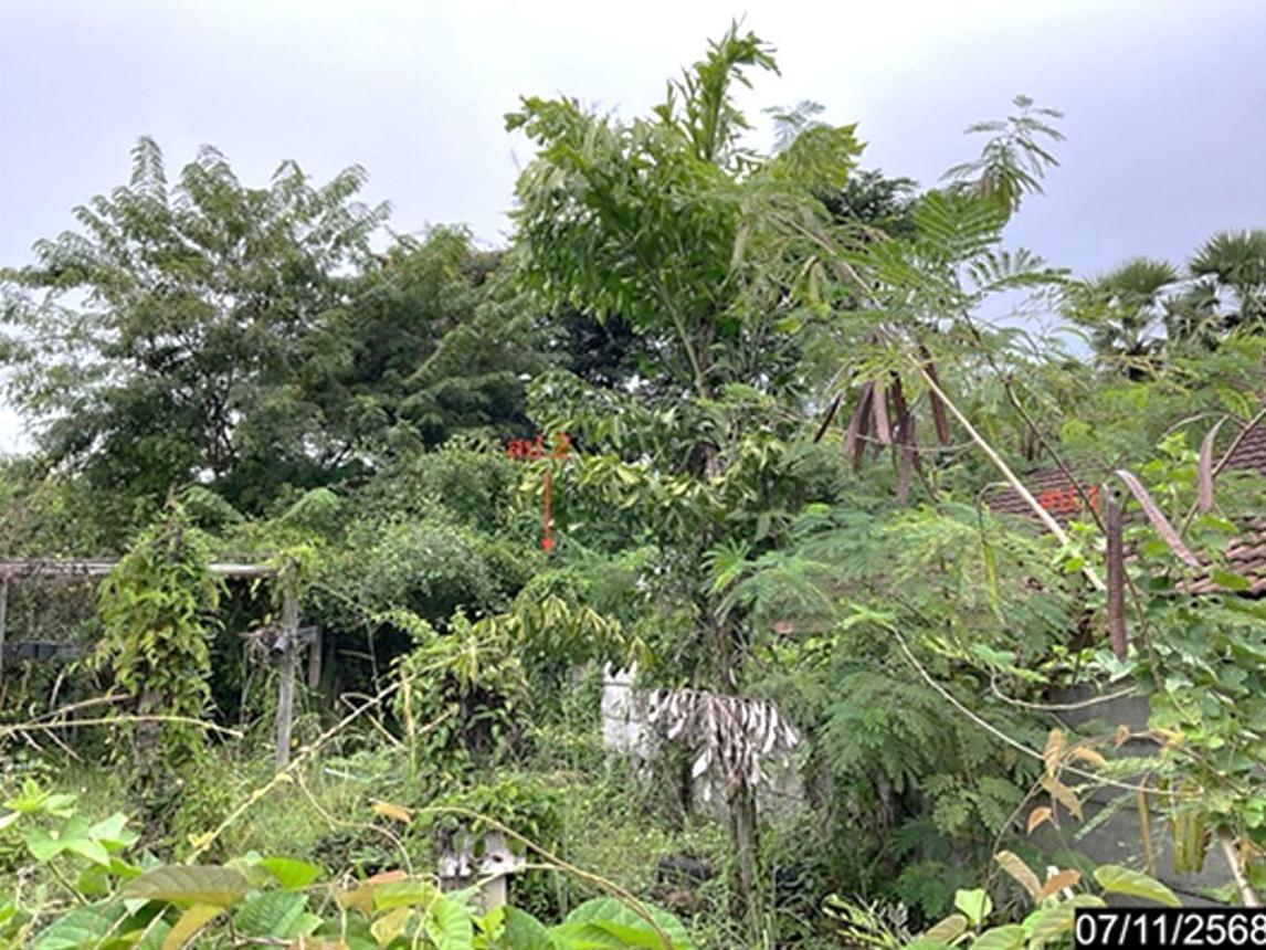 picture HOME 419 Sq.w. Nong Han Udon Thani for 5.4M - 9/18