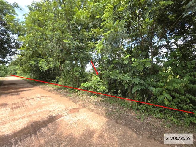 รูป ที่ดินว่างเปล่า 9865 ตร.วา สว่างแดนดิน สกลนคร 5.1M - รูปที่ 3/28