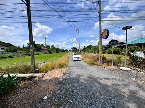 รูป ขายที่ดินเปล่าหนองจอก ถ.ประชาสำราญ (ซอยร่วมพัฒนา) **เพียง 4,500/ตารางวา** (N.1717) - รูปที่ 7/9