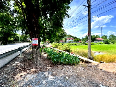 ที่ดิน เขตหนองจอก : ขายที่ดินเปล่าหนองจอก ถ.ประชาสำราญ (ซอยร่วมพัฒนา) **เพียง 4,500/ตารางวา** (N.1717)