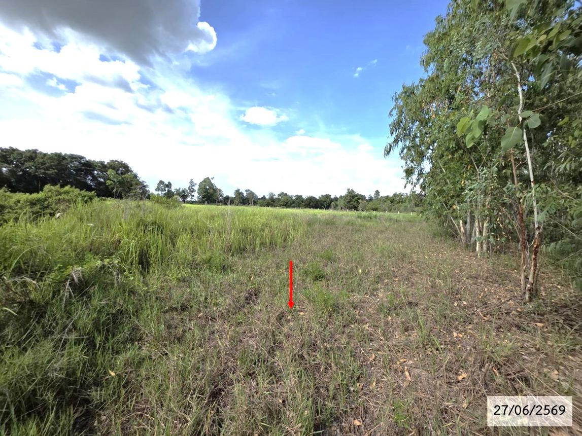 รูป ที่ดินว่างเปล่า 9865 ตร.วา สว่างแดนดิน สกลนคร 5.1M - รูปที่ 23/28