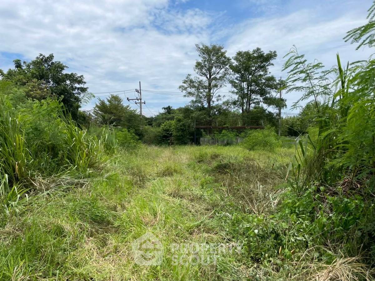 รูป ที่ดินเปล่าขาย หมู่บ้านศิลปิน หัวหิน หินเหล็กไฟ (ID 1553004) - รูปที่ 1/19