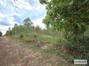 listing thumbnail image 16