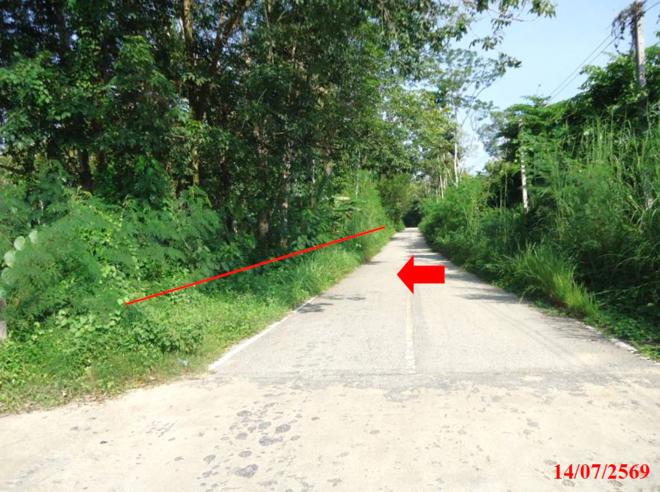 picture LAND 2280.4 Sq.w. Ruso Narathiwat for 1.4M - 3/14