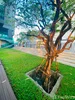 listing thumbnail image 10