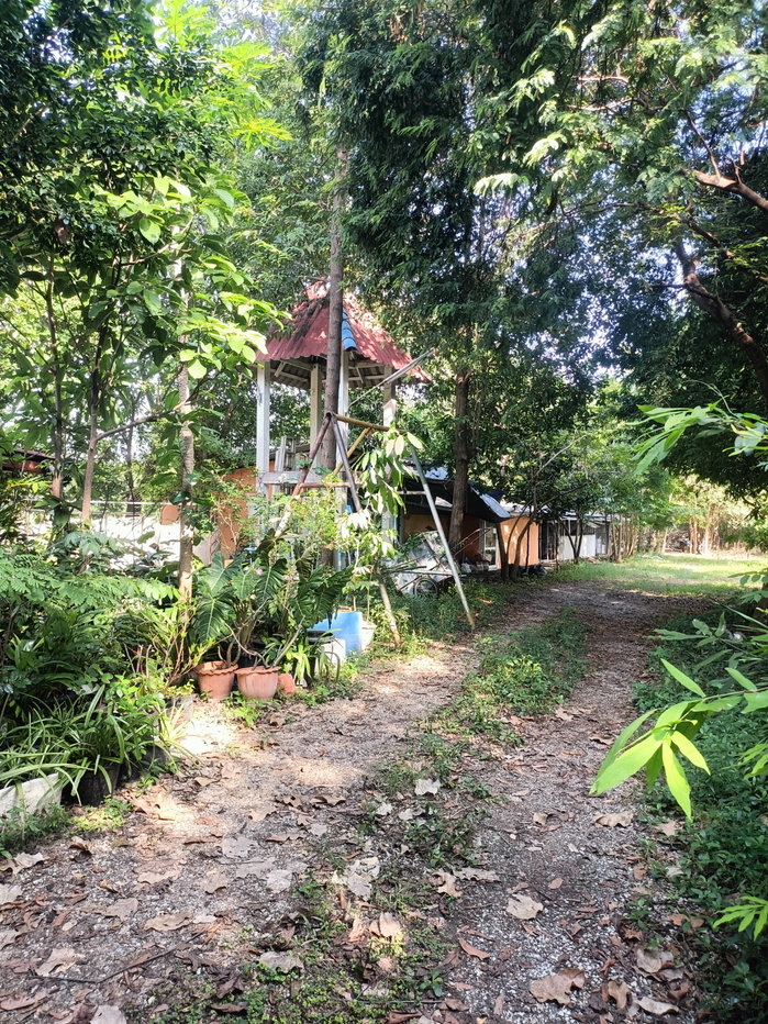 รูป ขายที่ดิน5ไร่2 งาน 69 ตรว  ฟรีบ้านเดี่ยวชั้นเดียว1 หลัง - รูปที่ 30/47