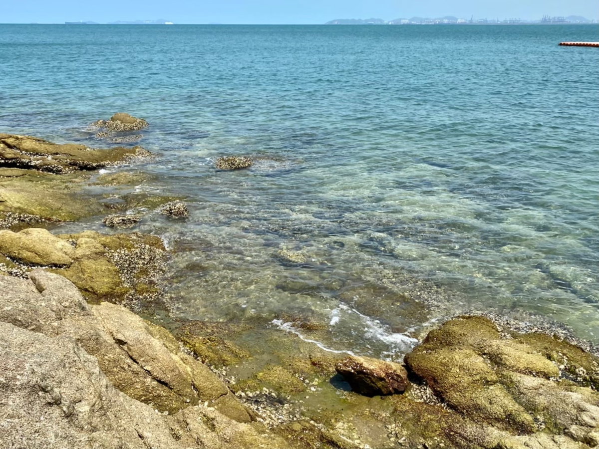 picture Condominium 1 bedroom Pattaya Private beach, Sea view - 79/115