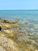 listing thumbnail image 85