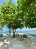 listing thumbnail image 27
