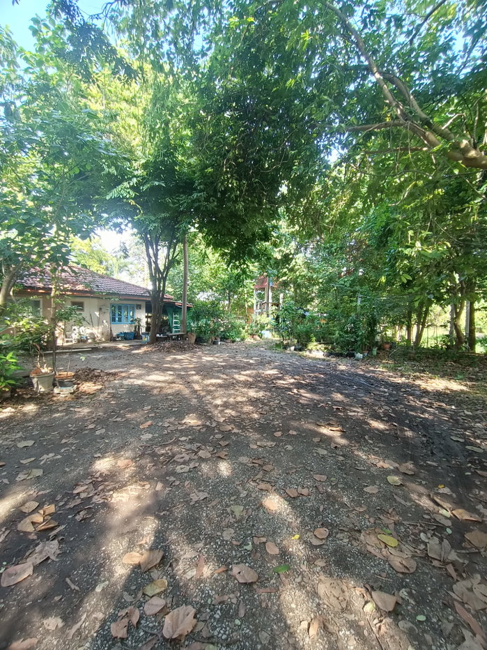 รูป ขายที่ดิน5ไร่2 งาน 69 ตรว  ฟรีบ้านเดี่ยวชั้นเดียว1 หลัง - รูปที่ 22/47