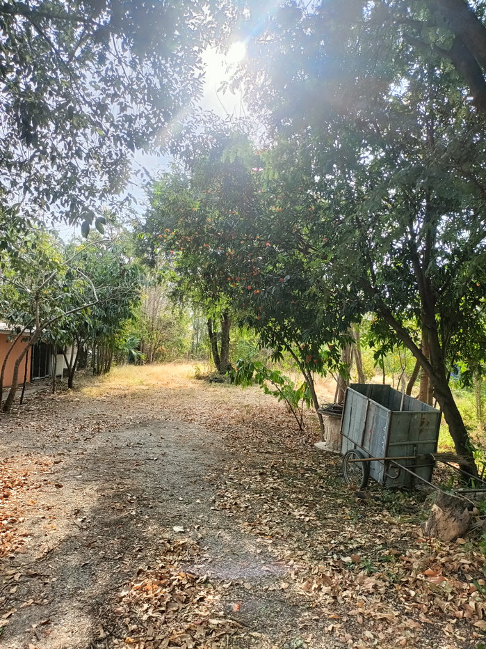 รูป ขายที่ดิน5ไร่2 งาน 69 ตรว  ฟรีบ้านเดี่ยวชั้นเดียว1 หลัง - รูปที่ 8/47