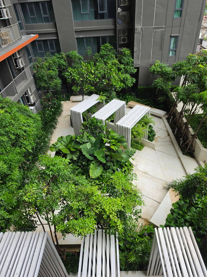 รูป 🔥C Ekkamai Condominium 🔥เช่าเพียง 17,000 บาท/เดือน🔥ราคานี้รวมค่าส่วนกลางแล้ว 🌺พื้นที่ขนาด 35 ตร.ม. ชั้น 28 🌺ห้อง 1 ห้องนอน 1 ห้องน้ำ - รูปที่ 16/16