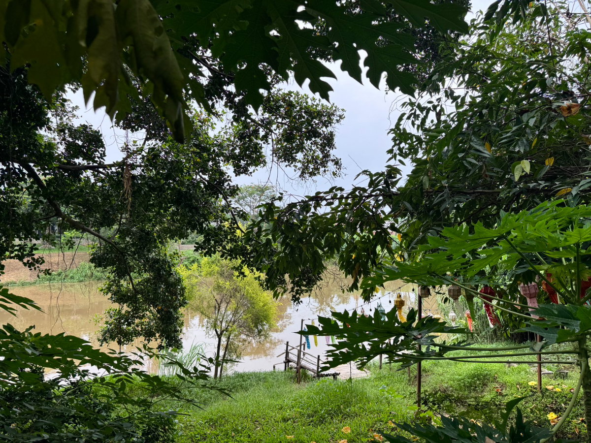 picture 🌊 Rare Riverside Land for Sale | Chiang Mai - 8/10