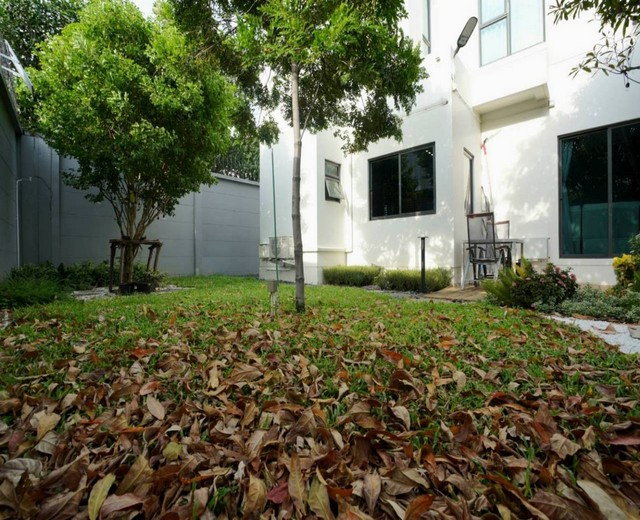 รูป svs372 ให้เช่า บ้านเดี่ยวสองชั้น นิรติ บางนา Nirati Bangna ซอยวัดหลวงพ่อโต - รูปที่ 17/39