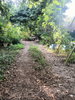 listing thumbnail image 42