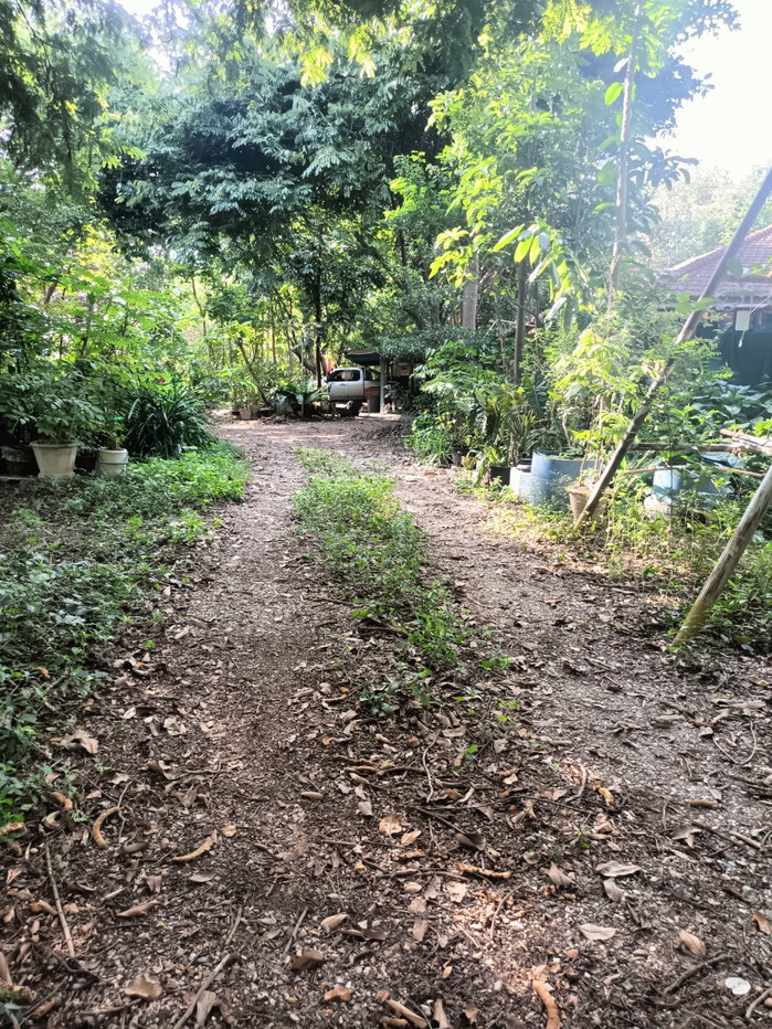 รูป ขายที่ดิน5ไร่2 งาน 69 ตรว  ฟรีบ้านเดี่ยวชั้นเดียว1 หลัง - รูปที่ 43/47