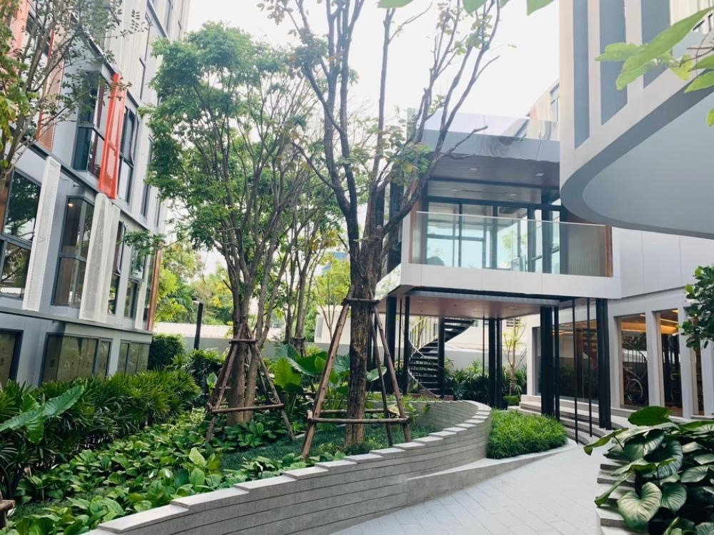 picture For Rent Condo Taka Haus Ekkamai - 12/15