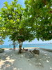 listing thumbnail image 94