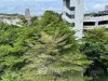 listing thumbnail image 18