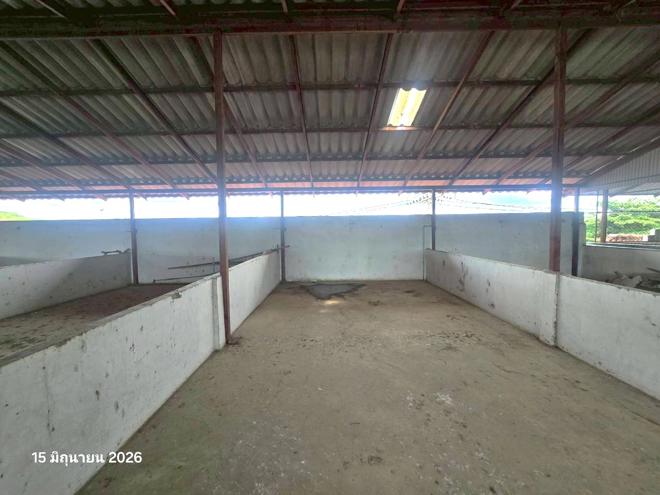 picture SHOP HOUSE 40.3 Sq.w. Nong Muang Khai Phrae for 4.6M - 11/44