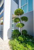 listing thumbnail image 12