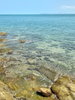 listing thumbnail image 86
