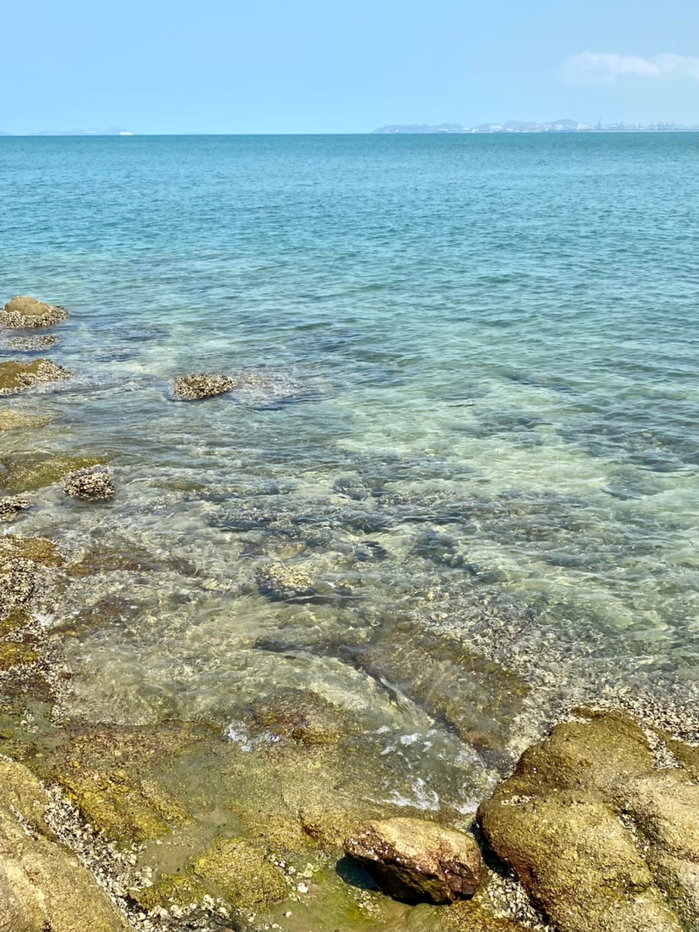 picture Condominium 1 bedroom Pattaya Private beach, Sea view - 87/115