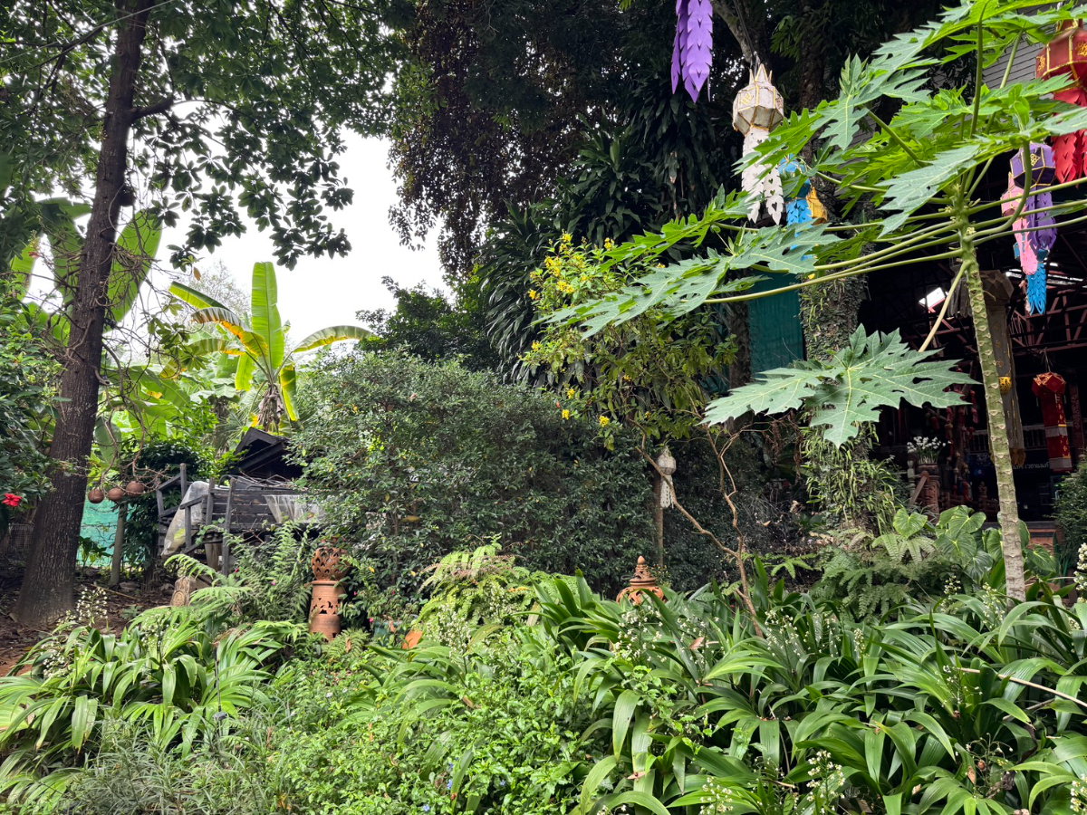picture 🌊 Rare Riverside Land for Sale | Chiang Mai - 7/10