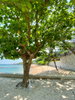 listing thumbnail image 91