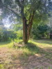 listing thumbnail image 35